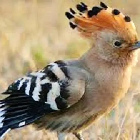 Cozy With View, 80 M² Apartamento *