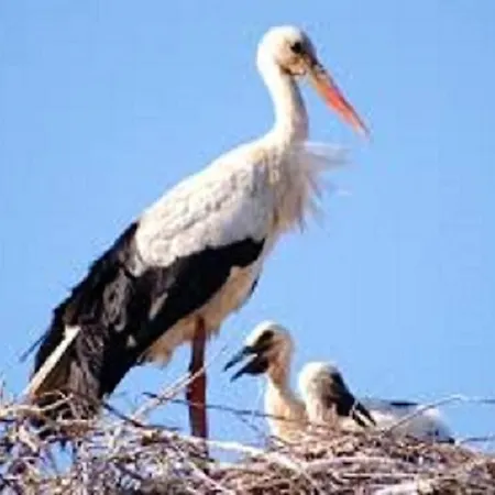 Apartamento Cozy With View, 80 M² *