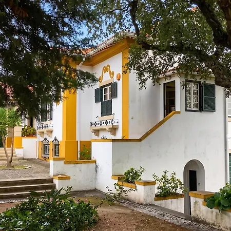 Cozy With View, 80 M² * Praia do Ribatejo